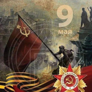 Telegram profile photo for НОВОСТИ СВО24 🗞