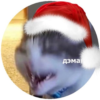 Telegram profile photo for Выживание на матфаке