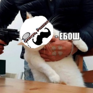 Telegram profile photo for Cringe, Բռատզ