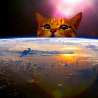 Telegram profile photo for 🌌🐈Gattini&Universo🐈🌌