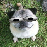 Telegram profile photo for (РЕСТ) Шалом