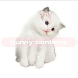 Telegram profile photo for 🎀|bunny contests