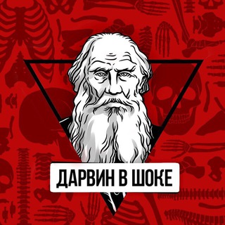 Telegram profile photo for Дарвин в шоке