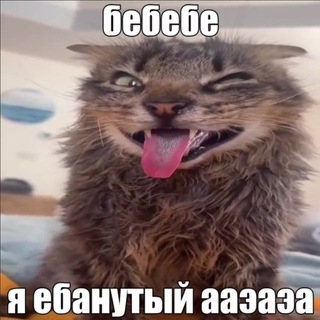 Telegram profile photo for Фчик