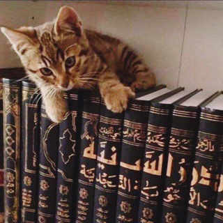 Telegram profile photo for الدُرَرُ السَنيَّة