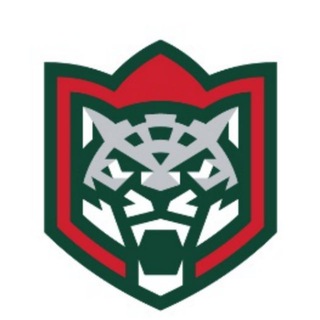 Telegram profile photo for Ак Барс матчи☝🏼