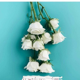 Telegram profile photo for متوسطة زهرة الوادي للبنات/البصره