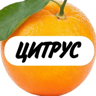 Telegram group profile photo for Чат магазина «Цитрус»