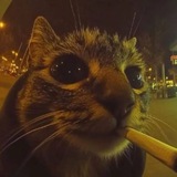 Telegram profile photo for між іншим
