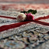 Telegram profile photo for غـريـبـةالـديـار