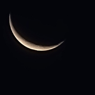 Telegram profile photo for Nichts als die Wahrheit