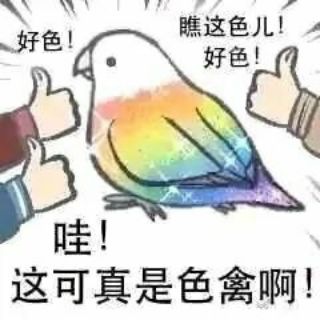 Telegram profile photo for 喵喵の妙妙屋