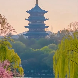 Telegram profile photo for 杭州皇家壹号交流中心