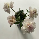 Telegram profile photo for 幸福