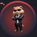 Telegram profile photo for Daily new Hamster Kombat chipr 🔥🔥