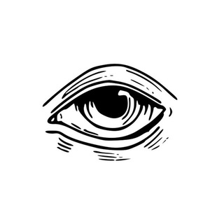 Telegram profile photo for The Observers
