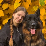 Telegram profile photo for gsd_Korsar🧡