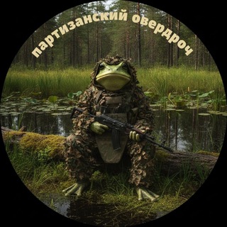Telegram profile photo for партизанский <<Овердроч>>