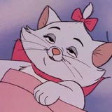 Telegram profile photo for 🐯funny animals🐷