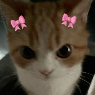 Telegram profile photo for qqus1li
