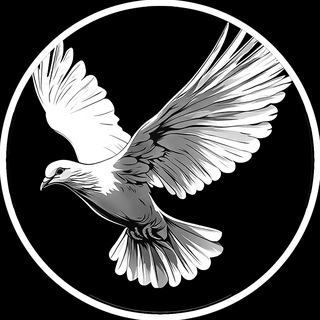 Telegram profile photo for Новости | OBELISKI.RU