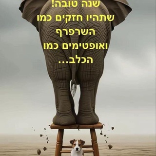 Telegram profile photo for זה לא רק צחוק זה הכול