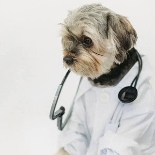 Telegram group profile photo for VET KAZ(جزوات،کلیپ آموزشی،استخدامی ها،،نمونه سوال...)