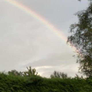 Telegram profile photo for 🌈 Карма Кагью Видео Дайджест