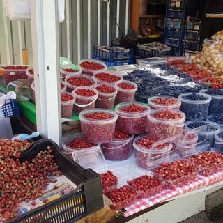Telegram profile photo for Ягода грибы в Новосибирске🍒🫐🍓