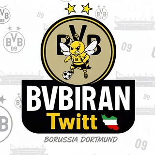 Telegram profile photo for BVBIRAN Twitt🐝 | دورتموند توییت