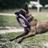 Telegram profile photo for 🐾dogs🐾