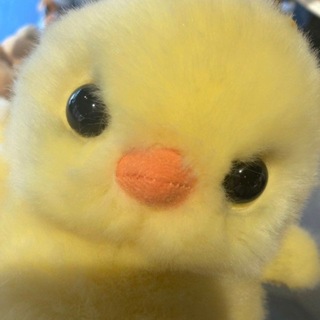 Telegram profile photo for PENIPU JASTIP