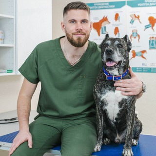 Telegram profile photo for VETERINARY_SURGERY