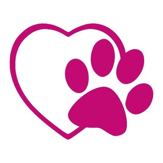 Telegram profile photo for Кошачье Люблино 🐾