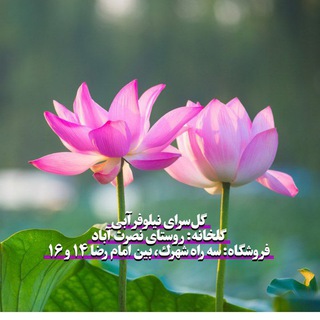 Telegram profile photo for گلسرای نیلوفر آبی