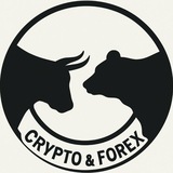 Telegram profile photo for CRYPTO & FOREX π