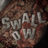 Telegram profile photo for swallow | ласточка