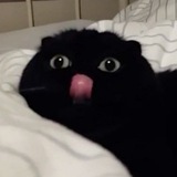 Telegram profile photo for Му́рджен