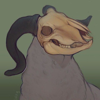 Telegram profile photo for Home of taxidermist🕸🪶