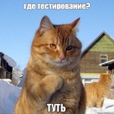Telegram profile photo for Силлабус ISTQB (Foundation)