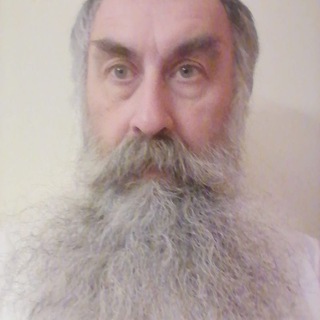 Telegram profile photo for Черепахи ходят вдоль забора