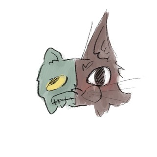 Telegram profile photo for MrsSH