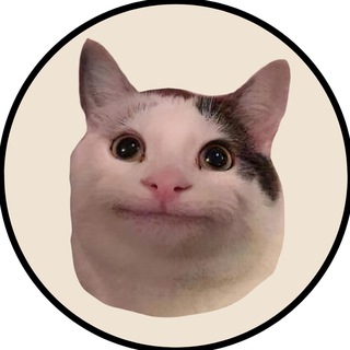 Telegram profile photo for Beluga Cat $BELUGA
