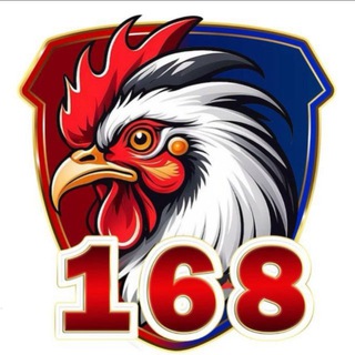Telegram profile photo for V168
