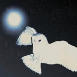 Telegram profile photo for Mensa nova