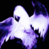 Telegram profile photo for ARCHIVE by CASTERRS