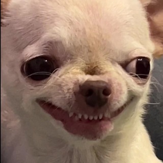 Telegram profile photo for Себечка тут!