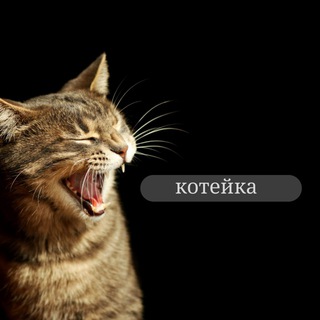Telegram profile photo for Котейка 🐾