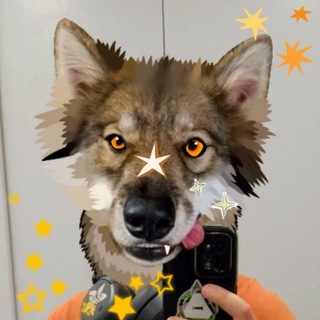 Telegram profile photo for Бᴀᴩᴄᴇᴛᴋᴀ дᴇдᴀ АᴋᴇᴧЛычᴀ