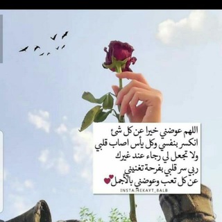 Telegram profile photo for طاقة إيجابية 🌺👗❤️👛